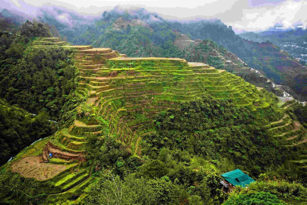 菲律賓遊學假日去哪玩-Banaue Rice Terraces巴拿威梯田