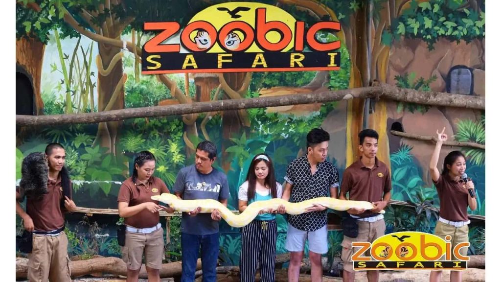 菲律賓遊學假日去哪玩-蘇比克野生動物園subic safari-