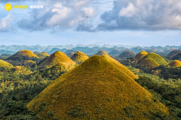 世界自然遺產巧克力山 (Chocolate Hills)