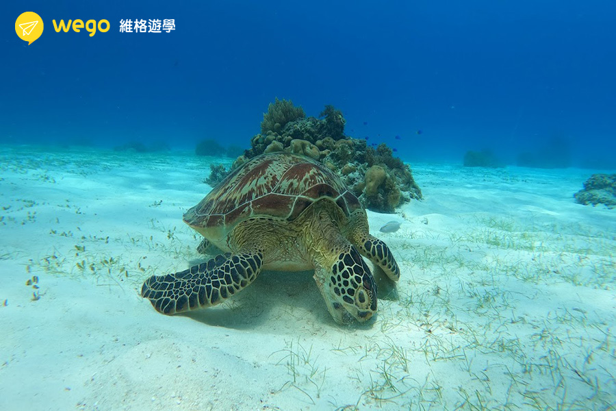 巴里卡薩水下世界